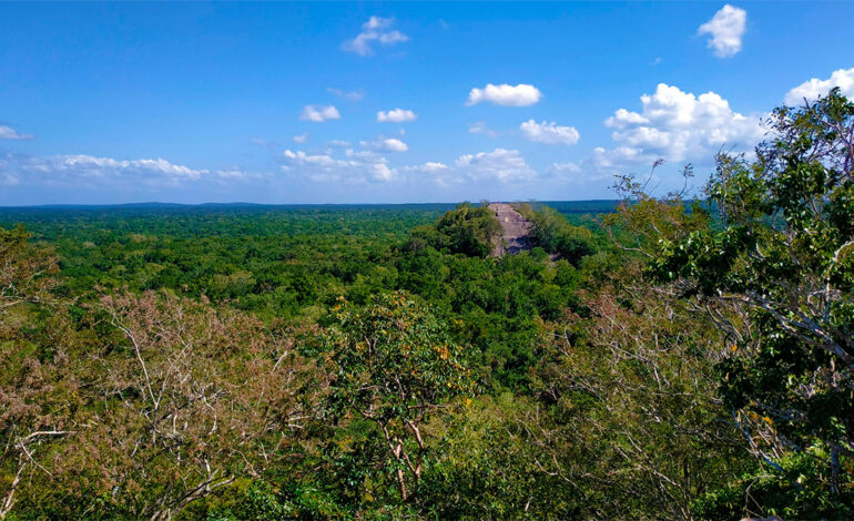 Descubren más de 6,000 estructuras mayas ocultas en Campeche, incluyendo una gran ciudad