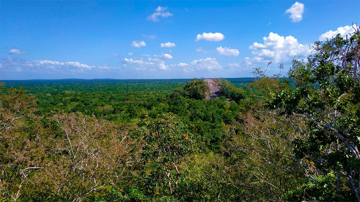 Descubren más de 6,000 estructuras mayas ocultas en Campeche, incluyendo una gran ciudad