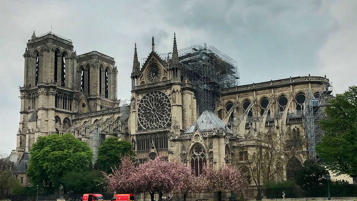 Catedral de Notre Dame volverá a recibir visitantes