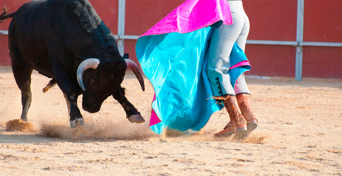 Ricardo Monreal propone corridas de toros sin sangre ni sacrificio para preservar el espectáculo